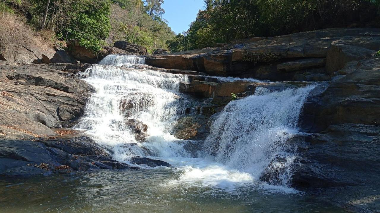 Riverbench Homestay Munnar, Anaviratty Exterior photo