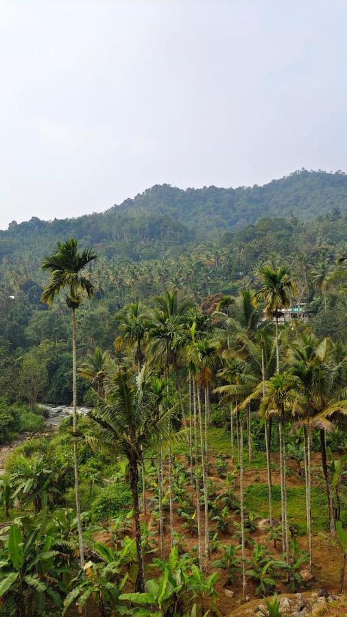 Riverbench Homestay Munnar, Anaviratty Exterior photo